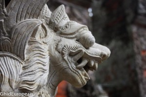 Bali_foto mici (5 of 14)