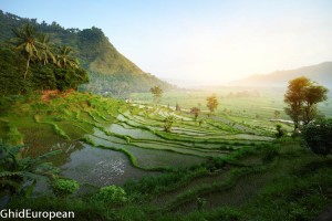 Bali_foto mici (8 of 14)