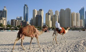 Dubai_foto mici (38 of 42)