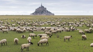 Mont St_michel002