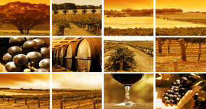 wine-montage