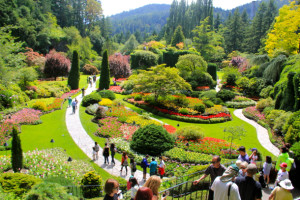 Buchart Gardens