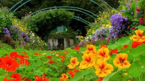 Monet Gardens