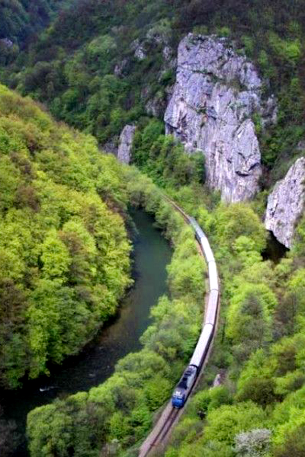 Parcul Național Defileul Jiului.doc (2)